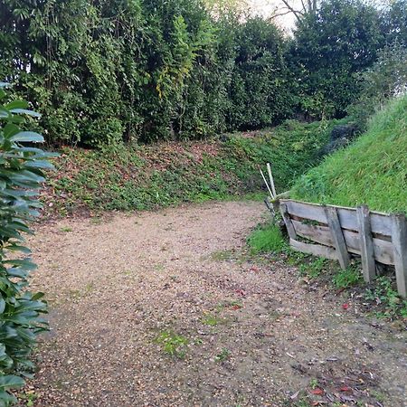 Gite Des Petites Ruelles : Familial Et Chaleureux Trôo Dış mekan fotoğraf